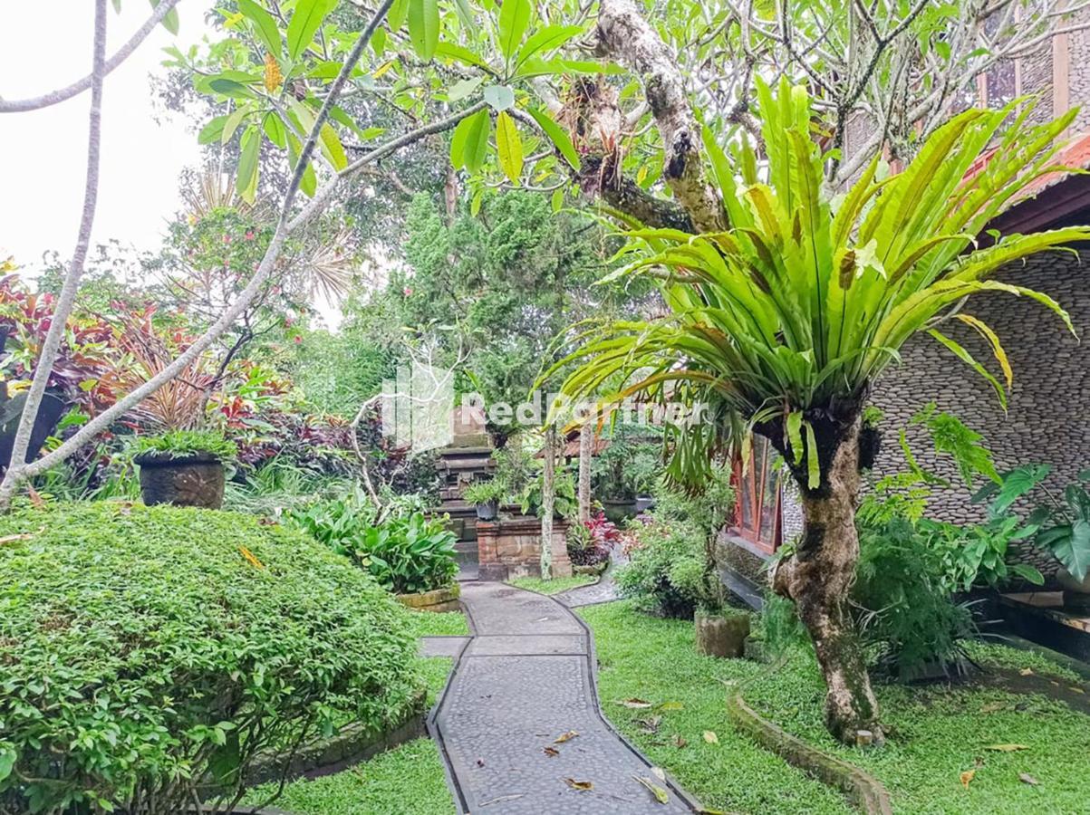 Nando House Lägenhet Ubud Exteriör bild